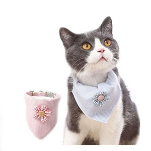 Bandana para gatos