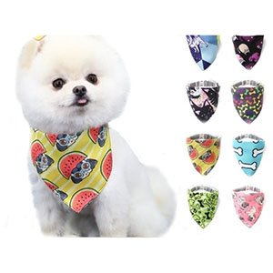 Bandana para perros