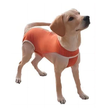 ROPA DE CASTRACION MASCOTAS