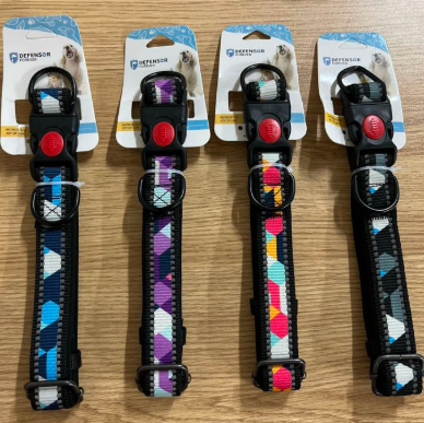 collar para perro