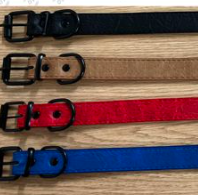 collar para perro