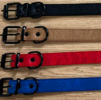 collar para perro