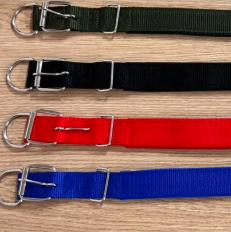 collar para perro