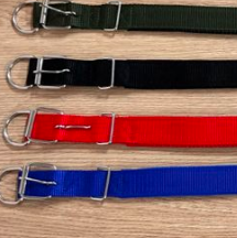 collar para perro