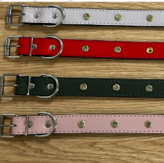 collar para perro