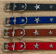 collar para perro