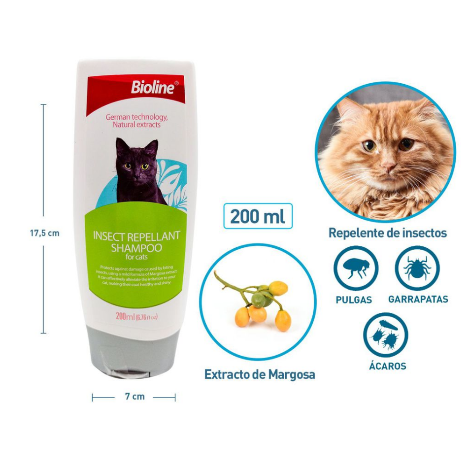 Shampoo para gatos