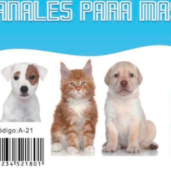 pañales para perros