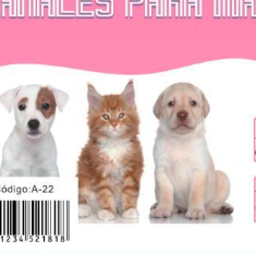 pañales para perros